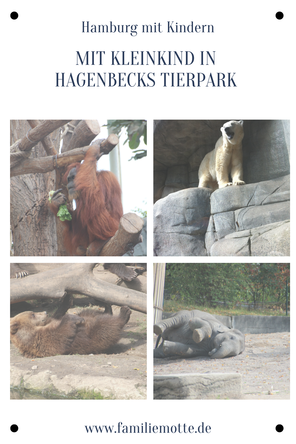 Hagenbecks Tierpark